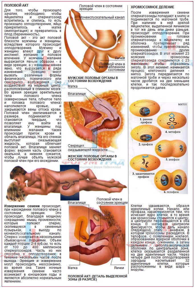 Сколько длится половой акт — может ли секс длиться два часа